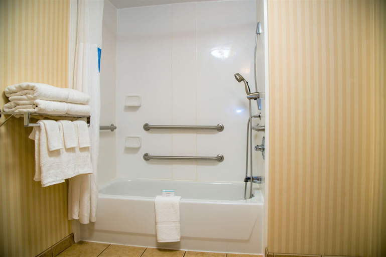 Bathroom 4, Hampton Inn Lewisburg, Greenbrier