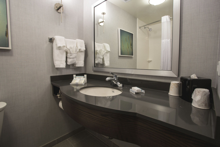 Bathroom 5, Hilton Garden Inn Bolingbrook I-55, Will