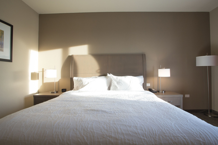 Bedroom 4, Hilton Garden Inn Bolingbrook I-55, Will