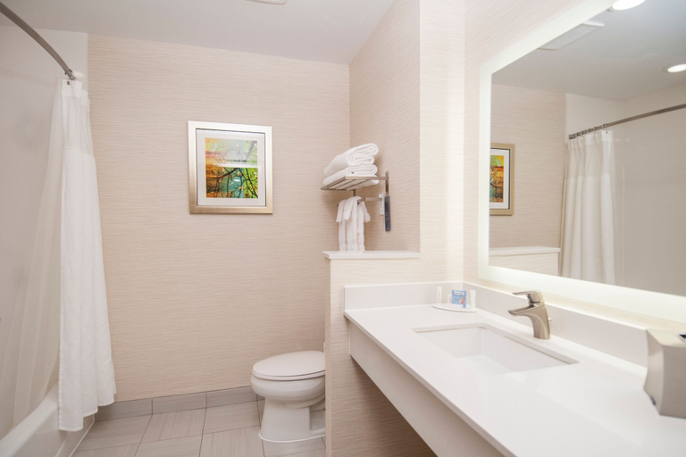 Bathroom 5, Fairfield Inn & Suites Dallas Plano North, Collin
