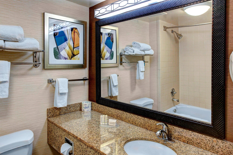 Bathroom 4, Fairfield by Marriott Inn & Suites Anniston Oxford, Calhoun