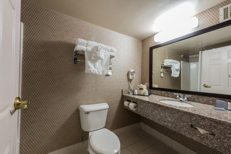 Bathroom 4, Wingate by Wyndham Chicago Schaumburg, Cook
