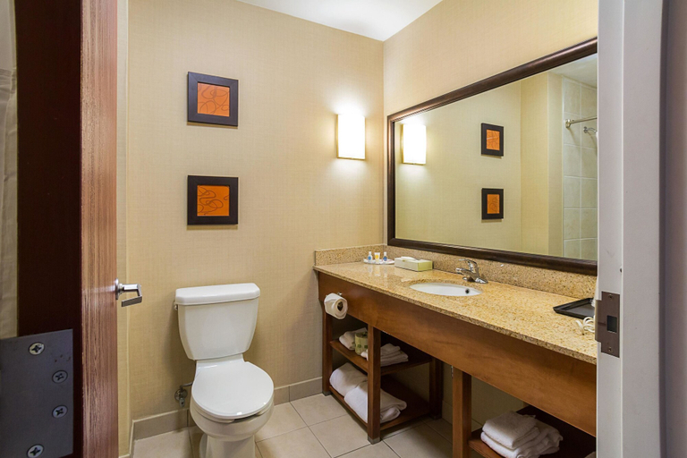 Bathroom 3, Comfort Suites Twinsburg, Summit