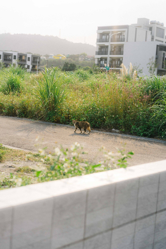 Exterior & Views 2, NOWHERE Retreat, Yilan