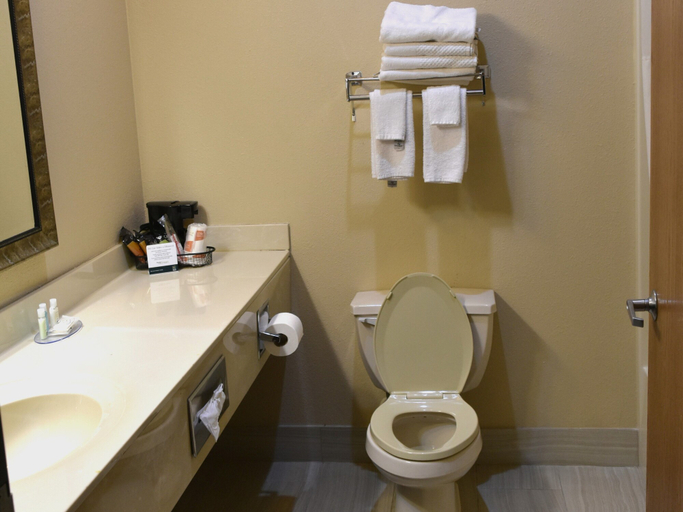 Bathroom 4, Quality Inn & Suites Brooks Louisville South, Bullitt