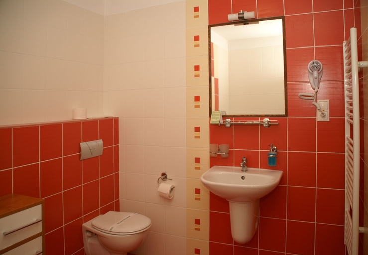 Bathroom 5, Hotel Avalanche, Poprad