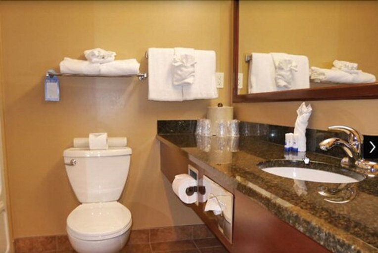 Bathroom 4, Best Western Plus Fredericton Hotel & Suites, York