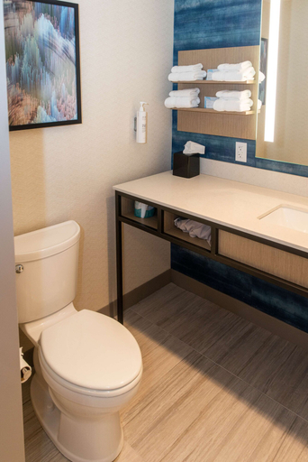 Bathroom 5, Hilton Garden Inn Mattoon, Il, Coles