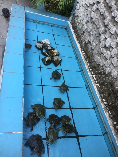 Sport & Beauty 5, Hotel Baylan Izmir, Konak