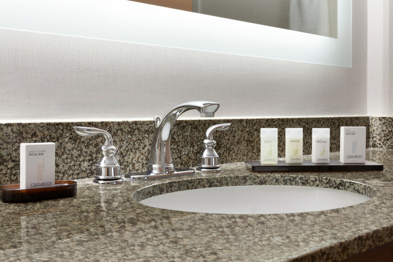 Bathroom 5, Embassy Suites by Hilton Temecula Valley Wine Country, Riverside