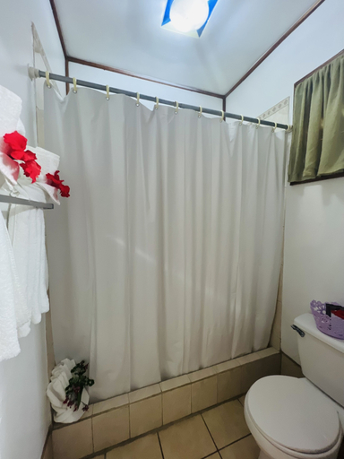 Bathroom 3, Hotel Del Rio