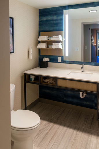 Bathroom 5, Hilton Garden Inn Mattoon,  Il, Coles