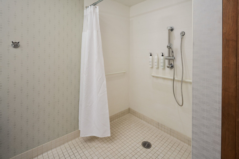 Bathroom 5, SpringHill Suites Philadelphia Airport Ridley Park, Delaware