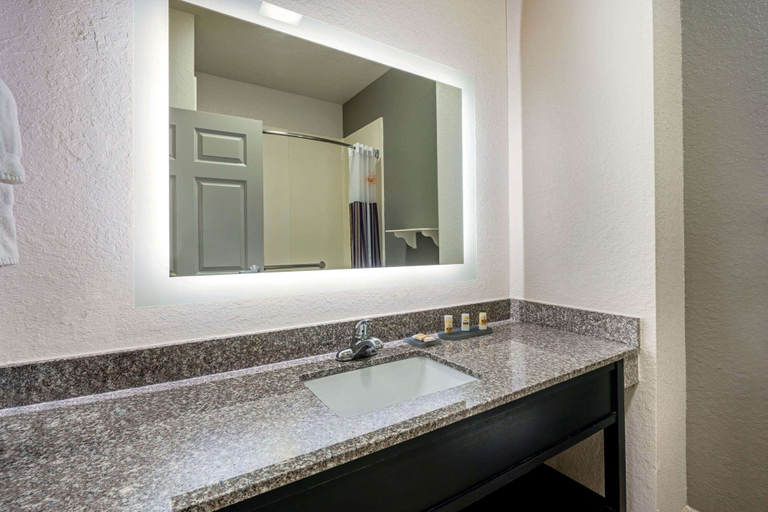 Bathroom 4, La Quinta Inn & Suites by Wyndham Conroe, Montgomery