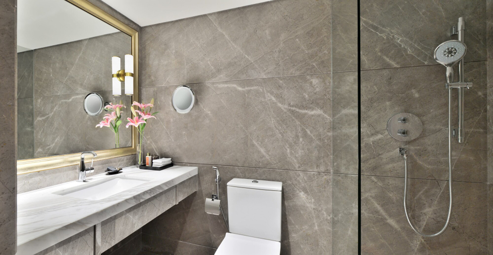 Bathroom 5, Taj Mahal, New Delhi, Delhi