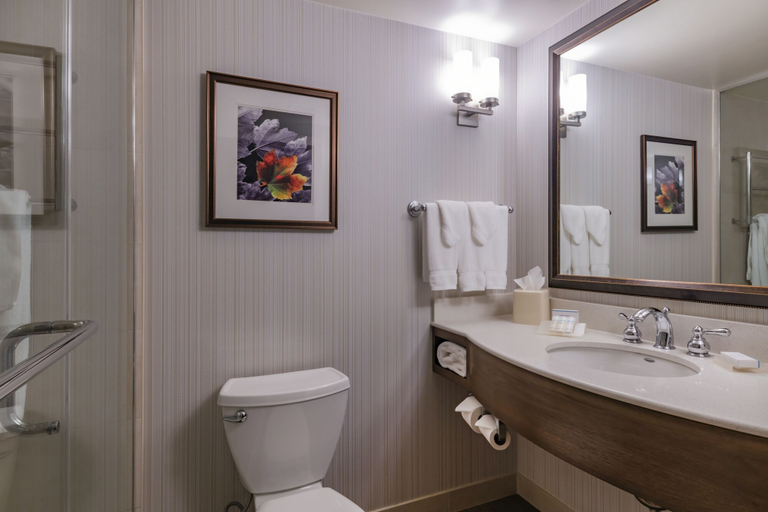 Bathroom 4, Hilton Garden Inn Devens Common, Worcester