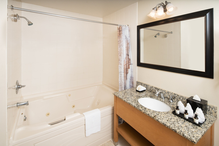 Bathroom 4, Timber Ridge Lodge and Waterpark, Walworth