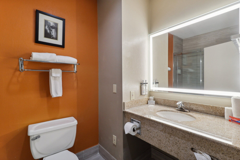 Bathroom 4, Holiday Inn Hotel & Suites Slidell by IHG, Saint Tammany