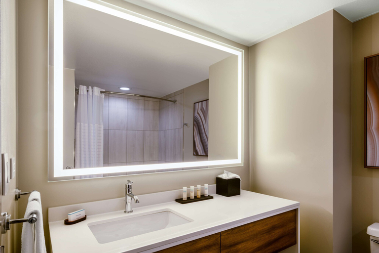Bathroom 5, Embassy Suites by Hilton Albuquerque, Bernalillo