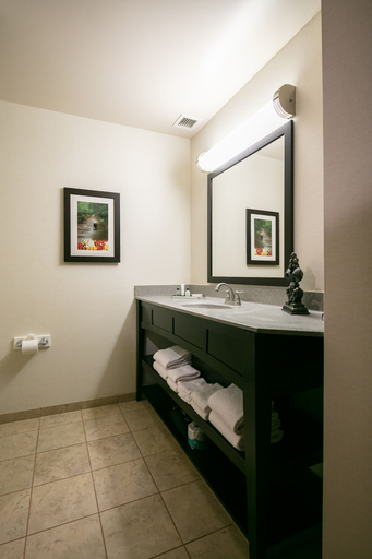 Bathroom 4, Bicycle Street Inn, Mackinac