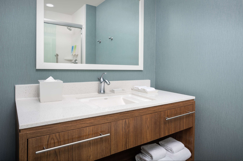 Bathroom 3, Home2 Suites by Hilton Memphis - Southaven, MS, Desoto
