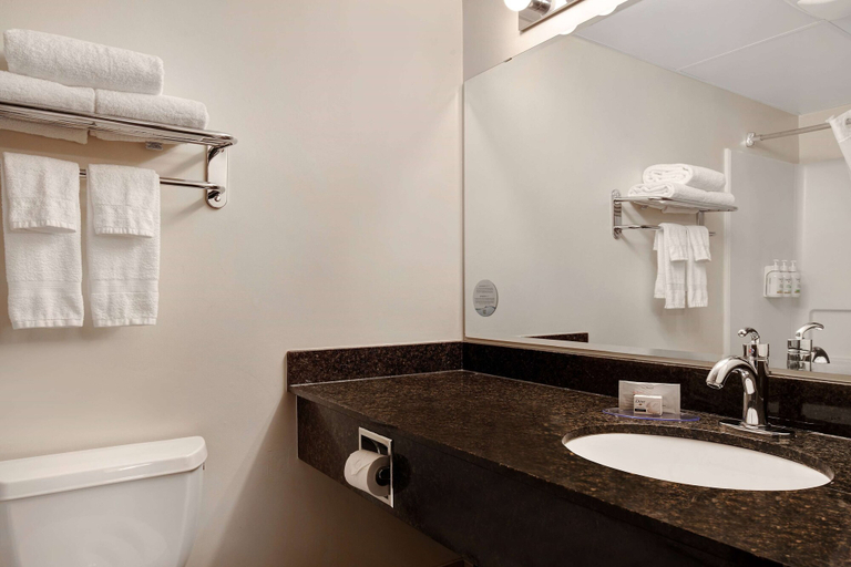 Bathroom 4, Days Inn & Conference Centre by Wyndham Prince Albert, Division No. 15
