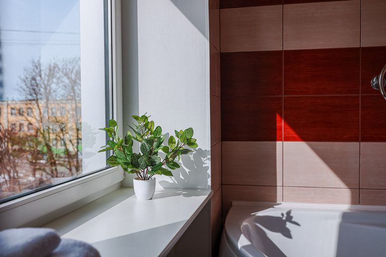 Bathroom 4, Inger, Narva