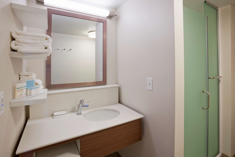 Bathroom 4, Hampton Inn Spicer Green Lake, Kandiyohi