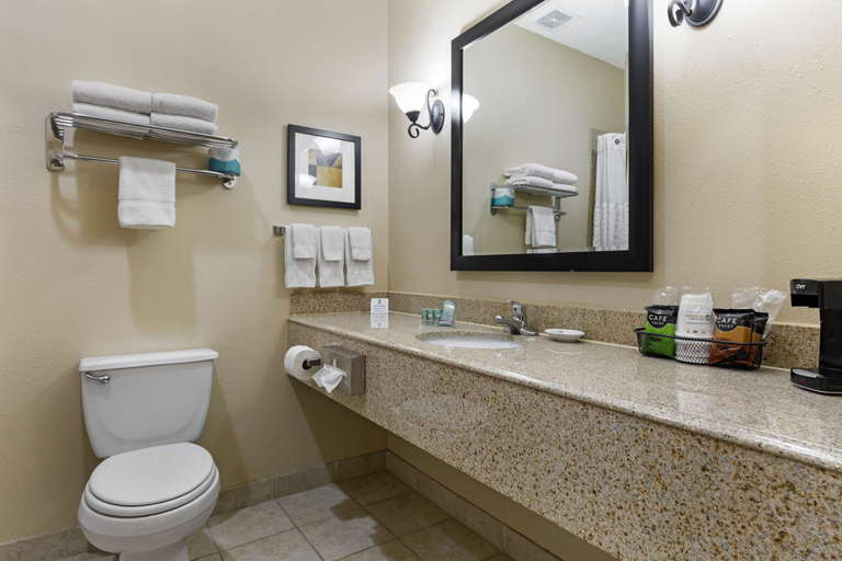 Bathroom 4, Best Western Franklin Town Center Hotel & Suites, Robertson