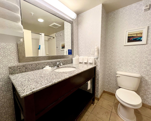 Bathroom 4, Hampton Inn & Suites Wilmington Christiana, New Castle