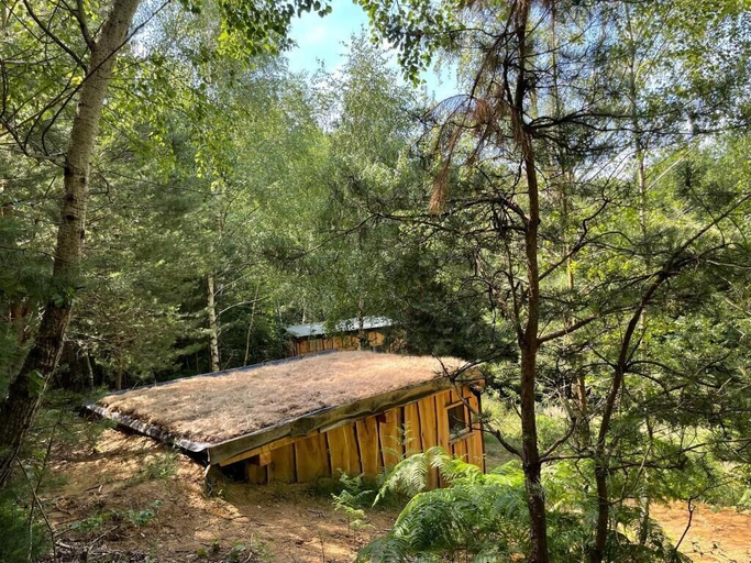Exterior & Views 2, Boutique Glamping Divja DiVine, Duplek