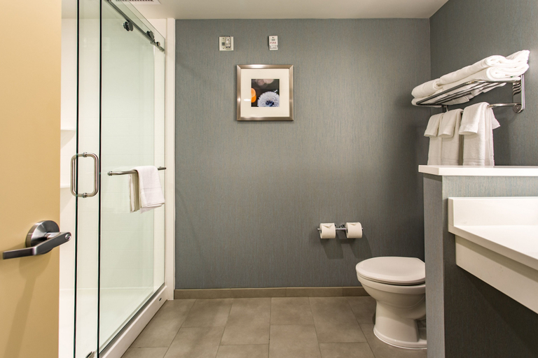 Bathroom 5, Holiday Inn & Suites CHATTANOOGA DOWNTOWN by IHG, Hamilton