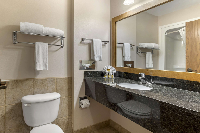 Bathroom 4, Best Western Plus Country Inn & Suites, Ford