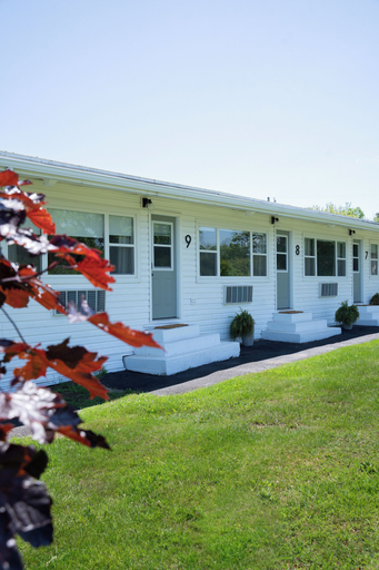 Exterior & Views 2, The Breeze Motel, Kings