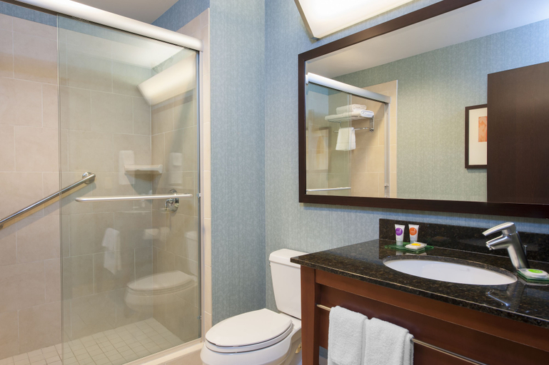 Bathroom 4, Hyatt Place Des Moines/Downtown, Polk