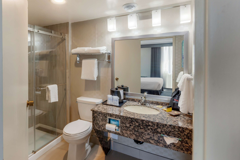 Bathroom 4, Best Western Plus Toronto Airport Hotel, Peel
