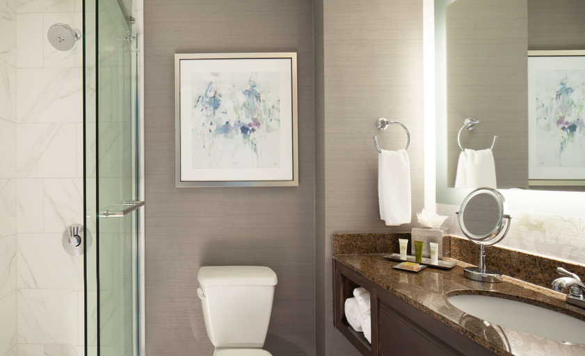 Bathroom 5, Hilton Atlanta/Marietta Hotel & Conference Center, Cobb