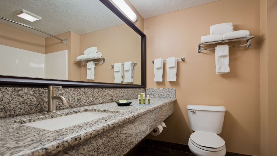 Bathroom 4, Best Western Plus Coldwater Hotel, Branch