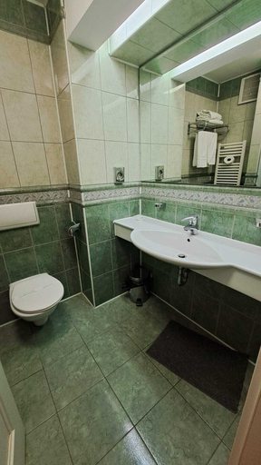 Bathroom 3, Hotel Iadolina, Budureasa