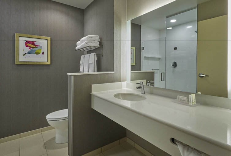 Bathroom 3, Fairfield Inn & Suites by Marriott Grand Mound Centralia, Thurston