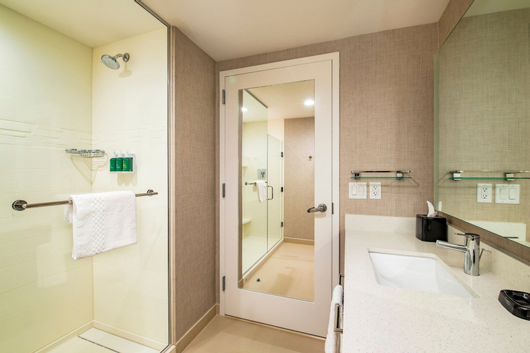 Bedroom 5, Residence Inn by Marriott Houston Medical Center/NRG Park, Harris