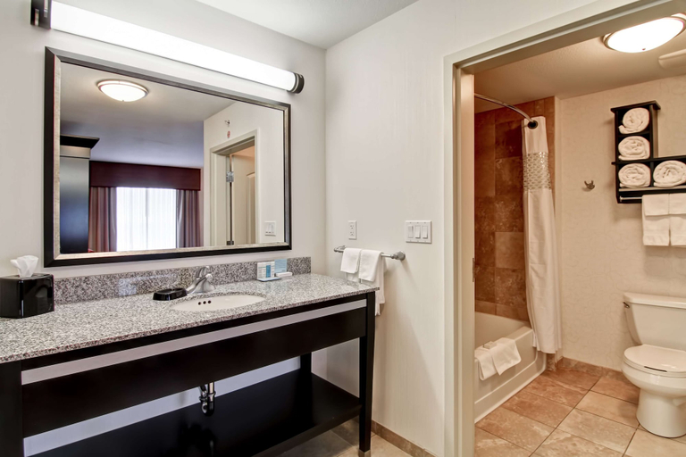 Bathroom 4, Hampton Inn & Suites by Hilton Red Deer, Division No. 8