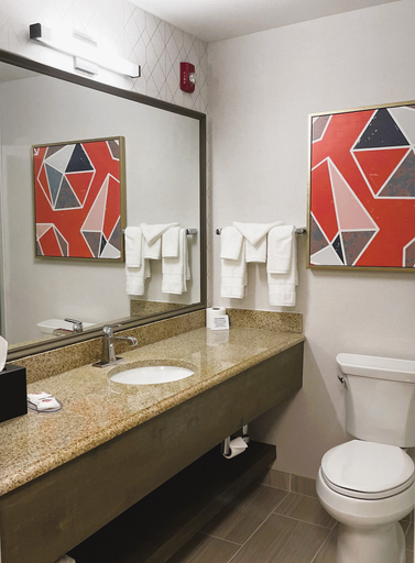 Bathroom 4, Comfort Inn & Suites NW Milwaukee, Waukesha