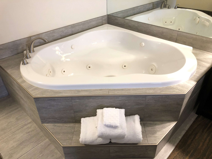 Bathroom 4, Best Western Plus Coldwater Hotel, Branch