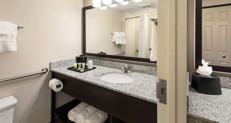 Bathroom 4, Best Western Ramkota Hotel, Brown