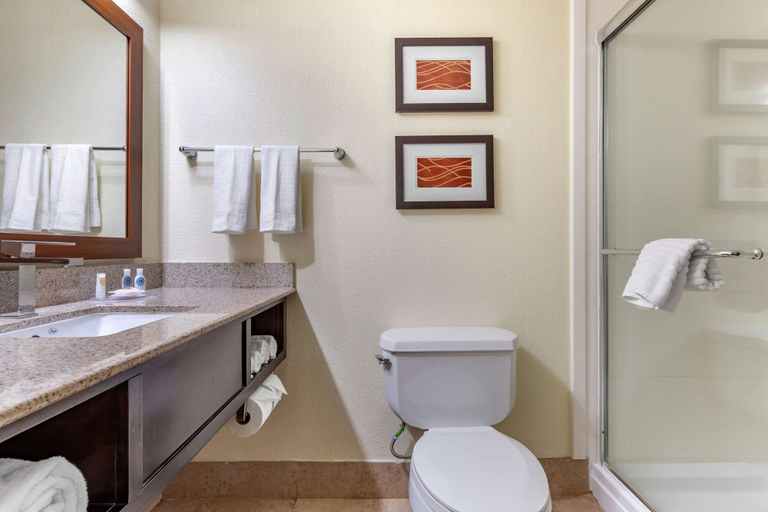 Bathroom 4, Comfort Inn & Suites Lake Norman, Mecklenburg