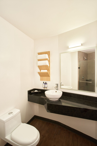 Bathroom 4, Gamma Querétaro, Querétaro