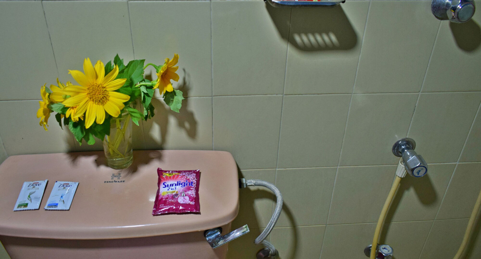 Bathroom 5, Elephant Lovers Inn, Rambukkana
