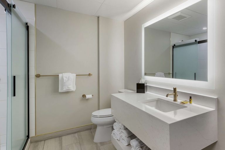 Bathroom 4, Best Western Plus The Charles Hotel, Saint Charles