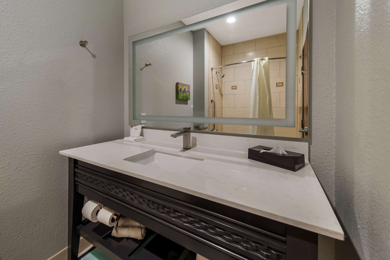 Bathroom 4, Best Western Plus Bowie Inn & Suites, Montague
